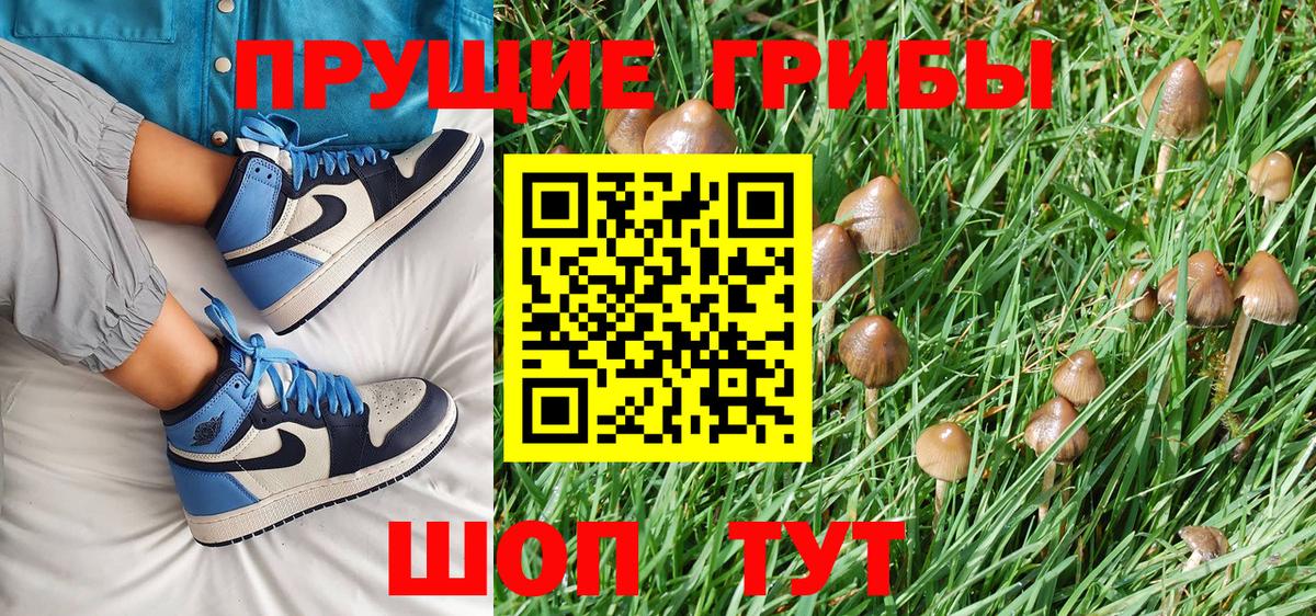 Галлюциногенные грибы Psilocybine cubensis  Вход с VPN  Лиски 